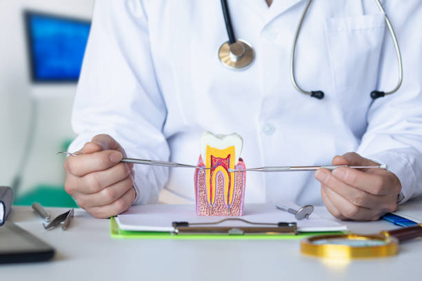Best Broken or Cracked Tooth Emergency Dentist in Forrest, IL